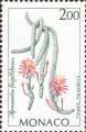 timbre succulent