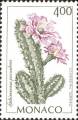 timbre succulent