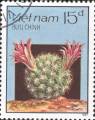 timbre succulent