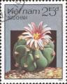 timbre succulent