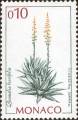 timbre succulent