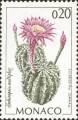 timbre succulent