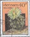 timbre succulent