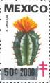 timbre succulent