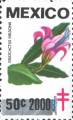 timbre succulent