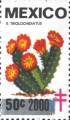 timbre succulent