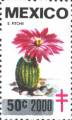timbre succulent