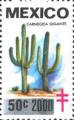 timbre succulent