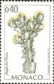 timbre succulent