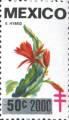 timbre succulent