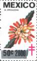 timbre succulent