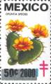timbre succulent
