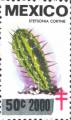 timbre succulent