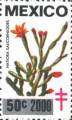 timbre succulent