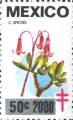 timbre succulent