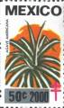 timbre succulent