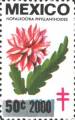 timbre succulent