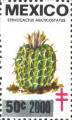 timbre succulent