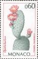 timbre succulent