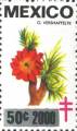 timbre succulent