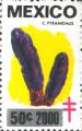 timbre succulent