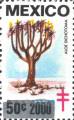 timbre succulent