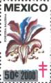 timbre succulent