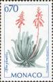timbre succulent