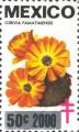 timbre succulent