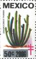 timbre succulent