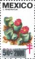 timbre succulent