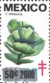 timbre succulent