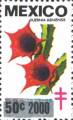 timbre succulent