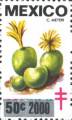 timbre succulent