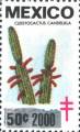 timbre succulent