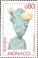 timbre succulent