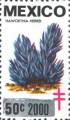 timbre succulent