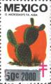 timbre succulent
