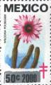 timbre succulent