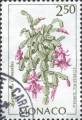 timbre succulent