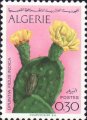 timbre succulent