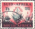 timbre succulent