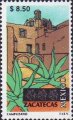 timbre succulent