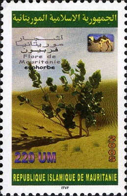 Mauritanie
