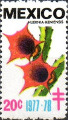 timbre succulent