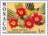 timbre succulent