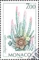 timbre succulent