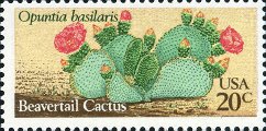 timbre succulent