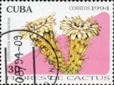 timbre succulent