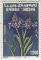 timbre succulent